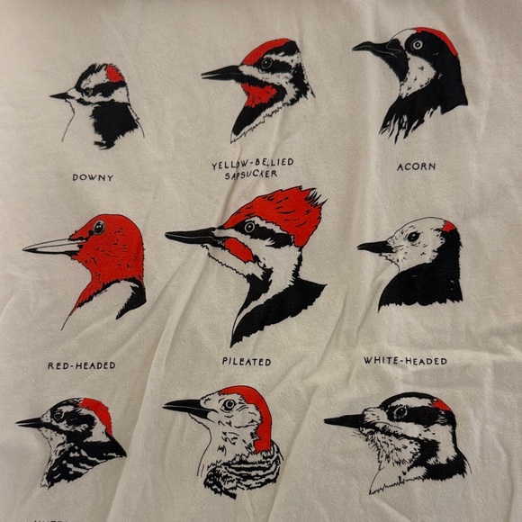 Bird Collective - Woodpecker Graphic Tee - Picture 3 of 3